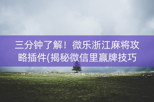 三分钟了解！微乐浙江麻将攻略插件(揭秘微信里赢牌技巧)