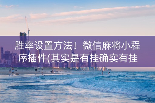 胜率设置方法！微信麻将小程序插件(其实是有挂确实有挂)