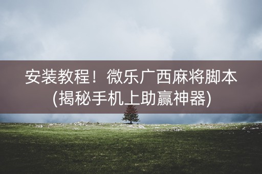安装教程！微乐广西麻将脚本(揭秘手机上助赢神器)
