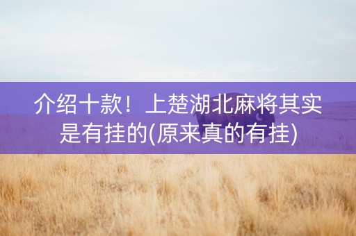介绍十款！上楚湖北麻将其实是有挂的(原来真的有挂)