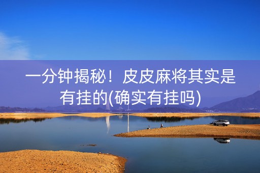一分钟揭秘！皮皮麻将其实是有挂的(确实有挂吗)