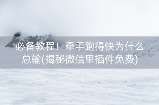 必备教程！牵手跑得快为什么总输(揭秘微信里插件免费)