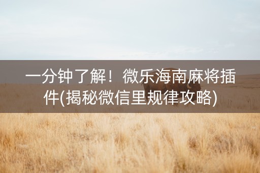 一分钟了解！微乐海南麻将插件(揭秘微信里规律攻略)