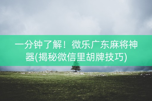 一分钟了解！微乐广东麻将神器(揭秘微信里胡牌技巧)