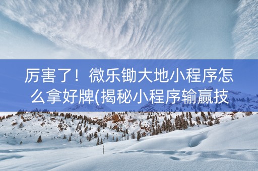 厉害了！微乐锄大地小程序怎么拿好牌(揭秘小程序输赢技巧)