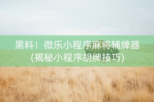 黑料！微乐小程序麻将辅牌器(揭秘小程序胡牌技巧)