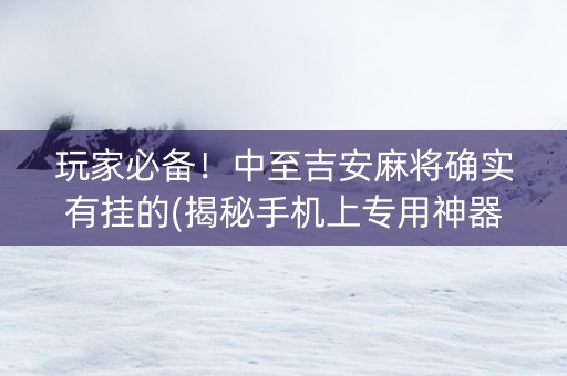 玩家必备！中至吉安麻将确实有挂的(揭秘手机上专用神器)