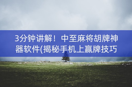 3分钟讲解！中至麻将胡牌神器软件(揭秘手机上赢牌技巧)
