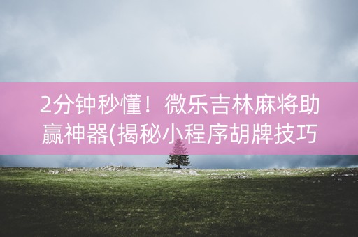 2分钟秒懂！微乐吉林麻将助赢神器(揭秘小程序胡牌技巧)