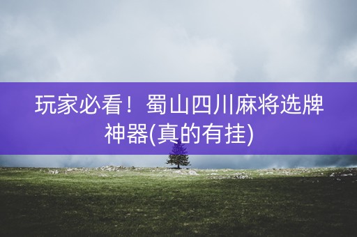 玩家必看！蜀山四川麻将选牌神器(真的有挂)