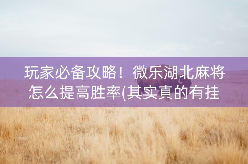 玩家必备攻略！微乐湖北麻将怎么提高胜率(其实真的有挂)