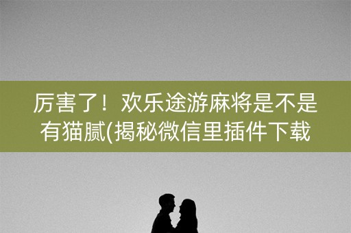 厉害了！欢乐途游麻将是不是有猫腻(揭秘微信里插件下载)