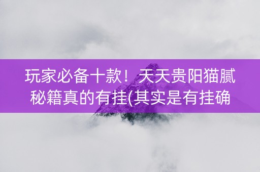 玩家必备十款！天天贵阳猫腻秘籍真的有挂(其实是有挂确实有挂)