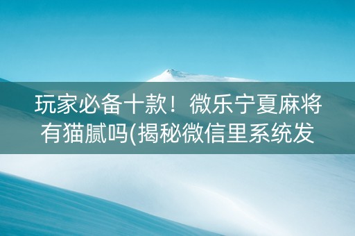 玩家必备十款！微乐宁夏麻将有猫腻吗(揭秘微信里系统发好牌)