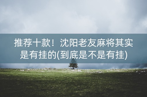 推荐十款！沈阳老友麻将其实是有挂的(到底是不是有挂)