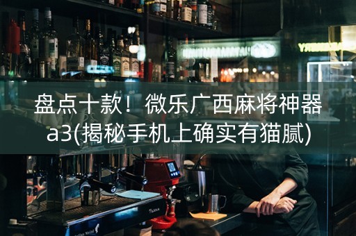 盘点十款！微乐广西麻将神器a3(揭秘手机上确实有猫腻)