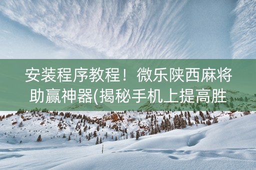 安装程序教程！微乐陕西麻将助赢神器(揭秘手机上提高胜率)
