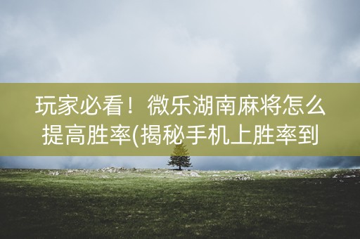 玩家必看！微乐湖南麻将怎么提高胜率(揭秘手机上胜率到哪调)
