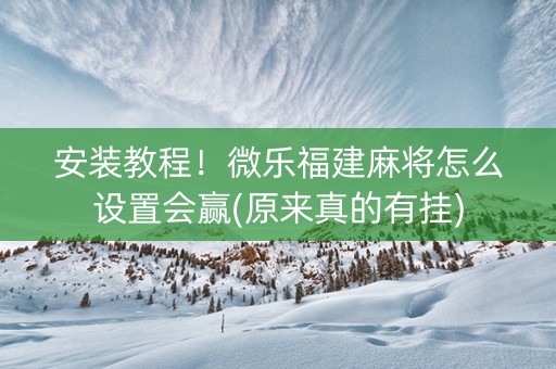 安装教程！微乐福建麻将怎么设置会赢(原来真的有挂)