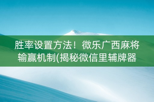 胜率设置方法！微乐广西麻将输赢机制(揭秘微信里辅牌器)