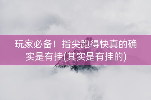玩家必备！指尖跑得快真的确实是有挂(其实是有挂的)