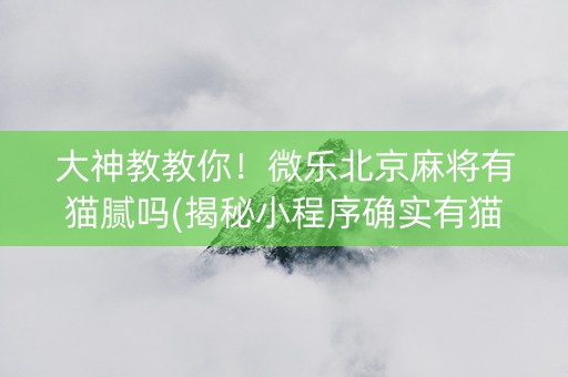 大神教教你！微乐北京麻将有猫腻吗(揭秘小程序确实有猫腻)