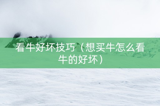 看牛好坏技巧（想买牛怎么看牛的好坏）