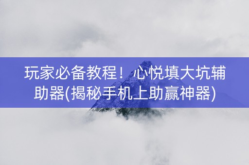 玩家必备教程！心悦填大坑辅助器(揭秘手机上助赢神器)