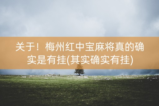 关于！梅州红中宝麻将真的确实是有挂(其实确实有挂)