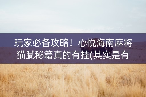 玩家必备攻略！心悦海南麻将猫腻秘籍真的有挂(其实是有挂确实有挂)