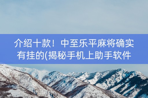 介绍十款！中至乐平麻将确实有挂的(揭秘手机上助手软件)