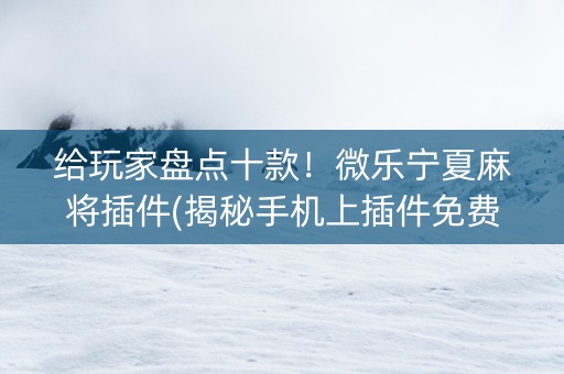 给玩家盘点十款！微乐宁夏麻将插件(揭秘手机上插件免费)