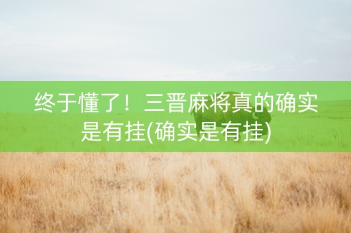 终于懂了！三晋麻将真的确实是有挂(确实是有挂)