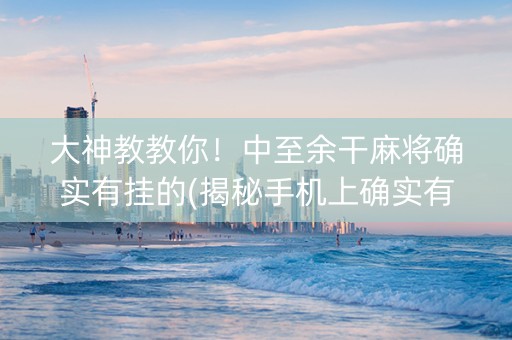 大神教教你！中至余干麻将确实有挂的(揭秘手机上确实有猫腻)