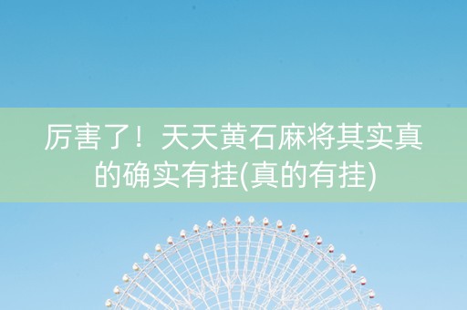厉害了！天天黄石麻将其实真的确实有挂(真的有挂)