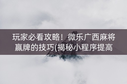 玩家必看攻略！微乐广西麻将赢牌的技巧(揭秘小程序提高胜率)