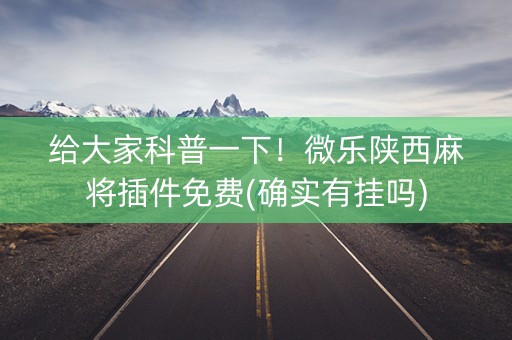 给大家科普一下！微乐陕西麻将插件免费(确实有挂吗)