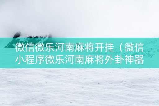微信微乐河南麻将开挂（微信小程序微乐河南麻将外卦神器下载安装）