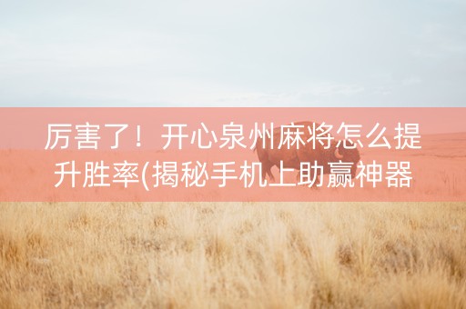 厉害了！开心泉州麻将怎么提升胜率(揭秘手机上助赢神器)