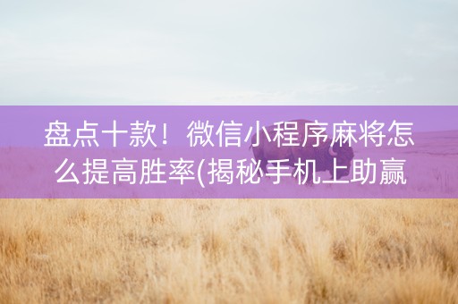 盘点十款！微信小程序麻将怎么提高胜率(揭秘手机上助赢软件)