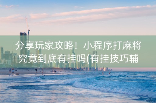 分享玩家攻略！小程序打麻将究竟到底有挂吗(有挂技巧辅助器)