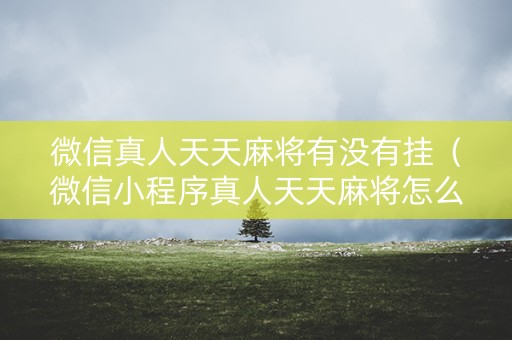微信真人天天麻将有没有挂（微信小程序真人天天麻将怎么样牌好）