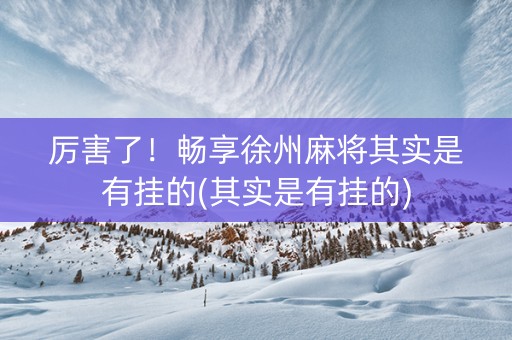 厉害了！畅享徐州麻将其实是有挂的(其实是有挂的)