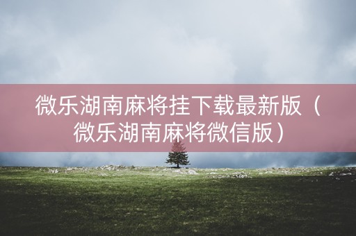 微乐湖南麻将挂下载最新版（微乐湖南麻将微信版）