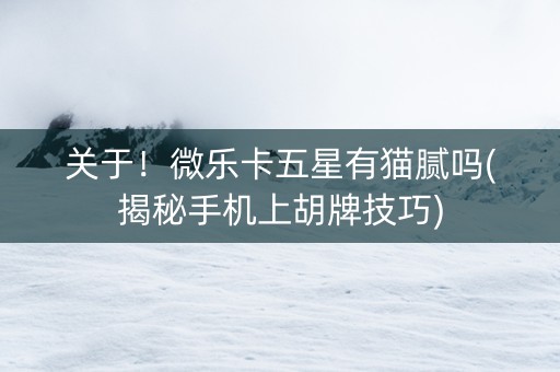 关于！微乐卡五星有猫腻吗(揭秘手机上胡牌技巧)