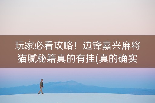 玩家必看攻略！边锋嘉兴麻将猫腻秘籍真的有挂(真的确实是有挂)