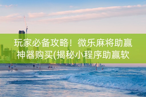 玩家必备攻略！微乐麻将助赢神器购买(揭秘小程序助赢软件)