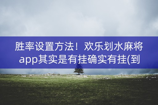 胜率设置方法！欢乐划水麻将app其实是有挂确实有挂(到底是不是有挂)