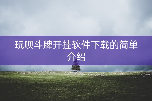 玩呗斗牌开挂软件下载的简单介绍