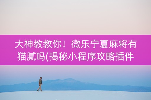 大神教教你！微乐宁夏麻将有猫腻吗(揭秘小程序攻略插件)